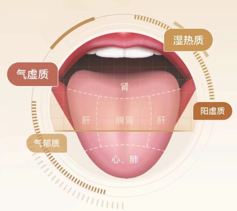 AI舌诊平台介绍